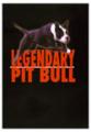 04_Legendary pit bull