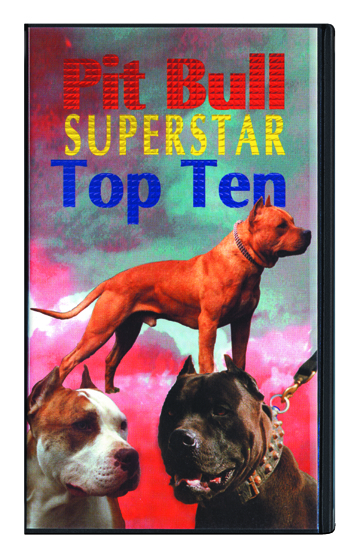 02_Pit Bull Super Star Top Ten