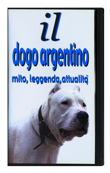 16_Dogo argentino